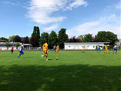 TV Pflugfelden - TV Echterdingen