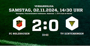 241102 holzhausen tve 2 0
