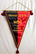 U19 Meister 2015/16