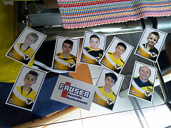 Einige TVE-Sticker