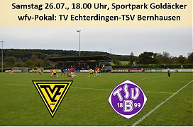 TVE TSVB